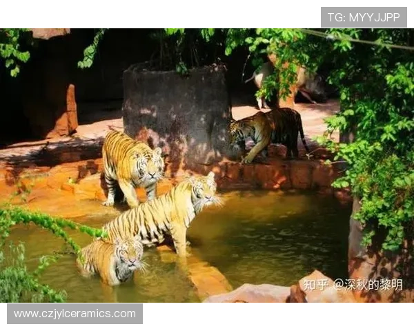 开云真人在哪里玩，最佳地点推荐和玩法介绍