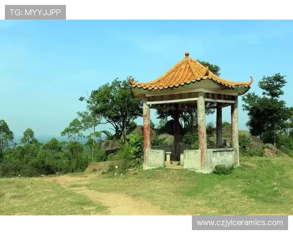 红树林娱乐：在自然保护区中享受独特的休闲娱乐体验，感受绿色生态的魅力